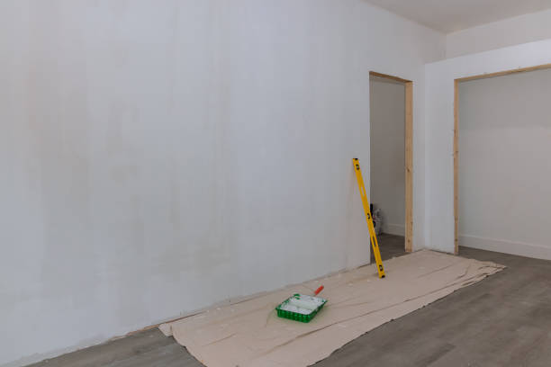 Best Drywall Installation  in Bellerose Terrace, NY